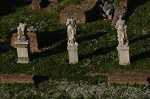 Images Dated 3rd April 2009: House of the Vestal Virgins. Rome. Italy