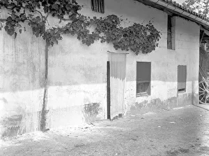Savoie Prints: House with well-tended grape-vine, in Albertville