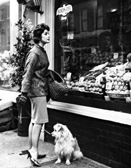 Images Dated 23rd August 2011: Housewife Shopping
