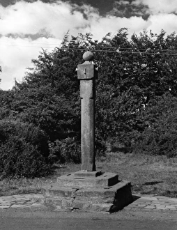 Images Dated 11th March 2011: Houston Market Cross