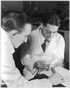 Howard Prints: Howard Florey in Lab