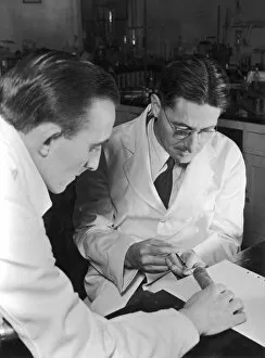 Pathologist Collection: Howard Florey Working