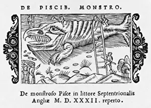 Washed Prints: Huge Fish Caught