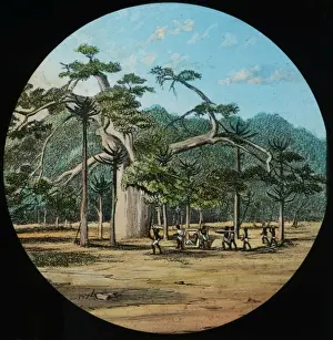 Huge tree under which there are African men with various obj