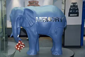 Elephantidae Prints: Human biology