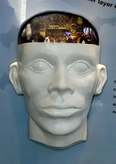 Forehead Prints: Human Brain Display