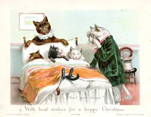 Anxious Prints: Five humanised cats on a Christmas card