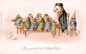 Studying Prints: Humanised owls at school on a greetings postcard