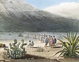 Ecuador Collection: Humboldt and his party collecting plant