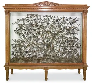 Hummingbird case