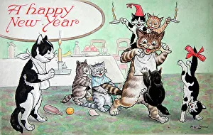 Humorous cats