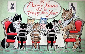 Lewin Prints: Humorous cats