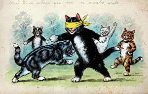 Mans Prints: Humorous cats