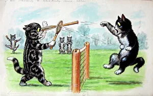 Humorous cats