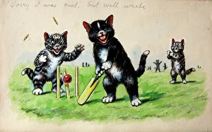 Humorous cats