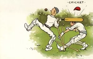Accidental Gallery: Humorous Cricket Postcard - Wicketkeeper struck