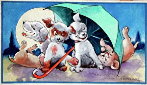Sternberg Prints: Humorous dogs