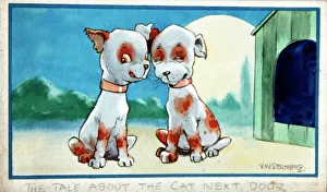Humorous dogs