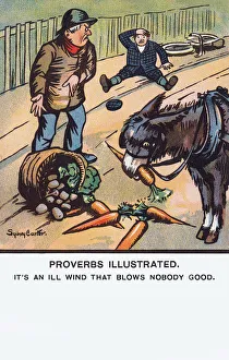 Humorous Proverb