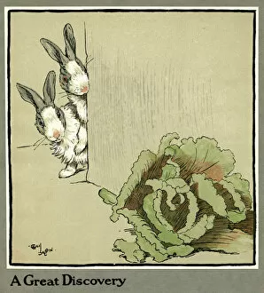Vegetable Gallery: Humpty and Dumpty the rabbits find a cabbage