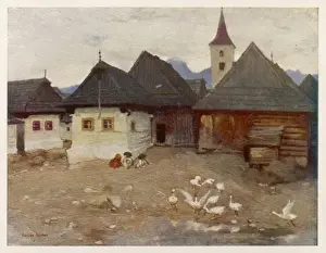 Hungarian Farmyard