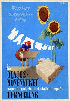 Produce Collection: Hungarian public information card - grow oil seed for soap