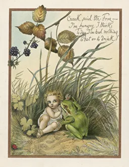 Hungry Green Frog Boyle