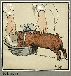 Clover Prints: Hungry Peter as a growing piglet drinking from a bowl