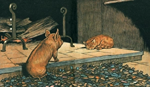 CAT'S DREAM