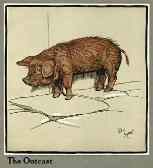 Wandering Prints: Hungry Peter as a piglet looking for food