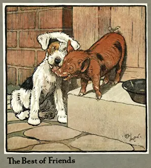 Lick Prints: Hungry Peter as a piglet makes friends with a dog
