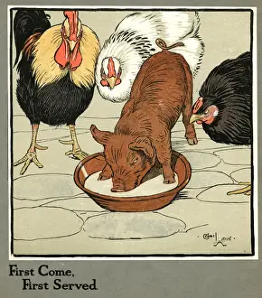 Stealing Prints: Hungry Peter as a piglet stealing poultry food