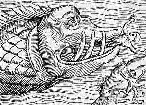 Images Dated 19th June 2018: HUNGRY SEA MONSTER