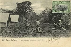 Images Dated 22nd February 2012: Hunt camp - Congo - Zebra Hunting