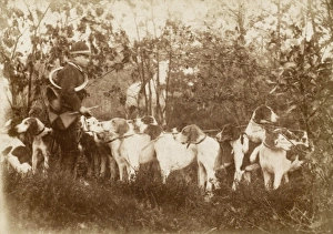 A hunt in the grounds of a French Chateau A hunt in the grounds of a French Chateau