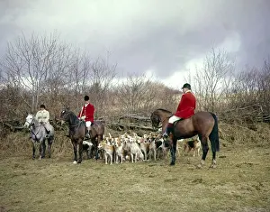 Three hunt members, horses and foxhounds