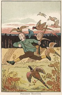 Diary Prints: Hunter attacked by pheasants