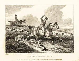 Gay And Phaedrus Prints: A hunter whips a foxhound Ringwood for barking
