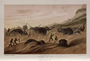 Hard Prints: Hunters and elephants in long grass, Sri Lanka