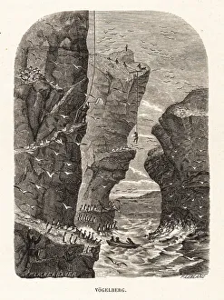 Edited Prints: Hunters on St Kilda harvesting eggs of marine birds