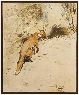Hunting Alphabet - V