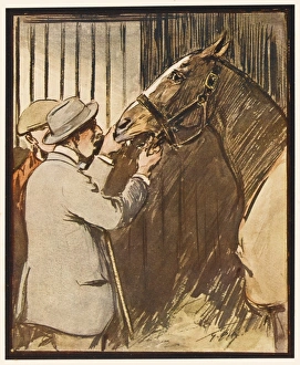 Hunting Alphabet - V