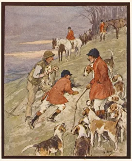 Hunting Alphabet - V