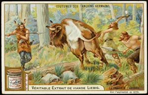 Ancestor Gallery: Hunting the Aurochs