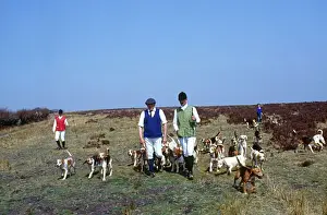 Foot Prints: Hunting with beagles, Brayford, North Devon