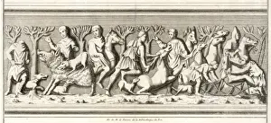 Hunting / Boar and Deer