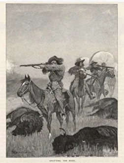 Hunting/Buffalo