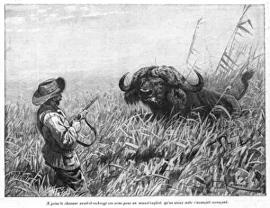 Hunter Prints: Hunting / Buffalo
