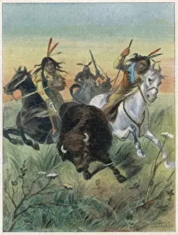 Hunting / Buffalo