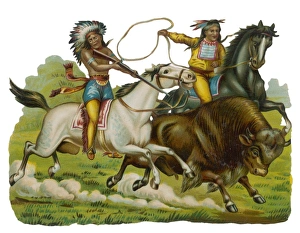 Hunting/Buffalo